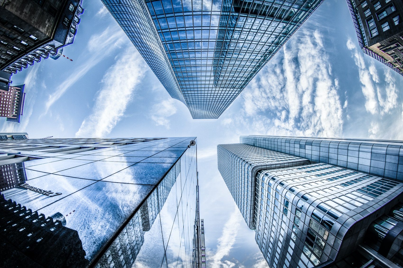Corporate & Business Law